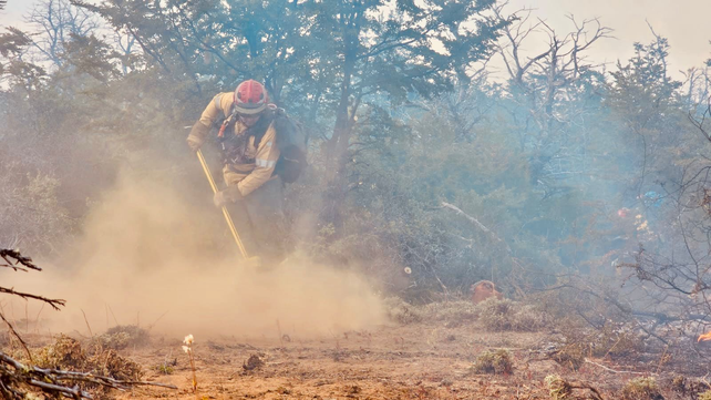 Los brigadistas informaron que la magnitud y la intensidad del fuego