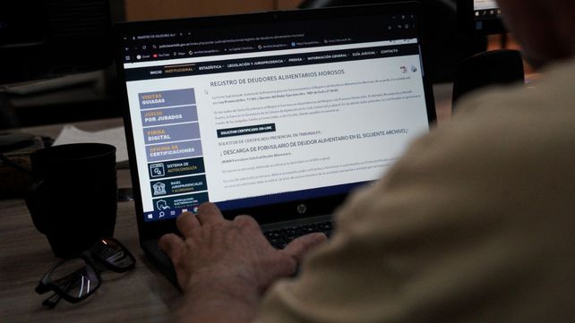 El Registro de Deudores Alimentarios Morosos se encuentra vigente desde el 15 de diciembre de 2025.
