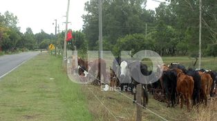 Se decretó alerta vial por la emergencia hídrica en la provincia