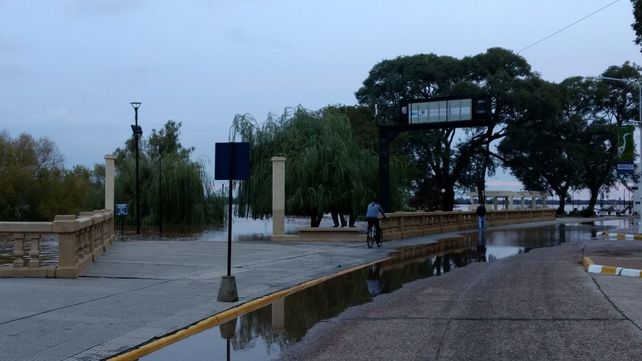 Foto gentileza&nbsp;Silvia Nalivaiko.&nbsp;