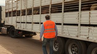 La implementación del documento facilitará la tarea al productor entrerriano, que no tendrá que dirigirse a ninguna dependencia.
