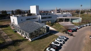 La empresa rosarina Bioceres SA entró en concurso de acreedores y pierde el control societario