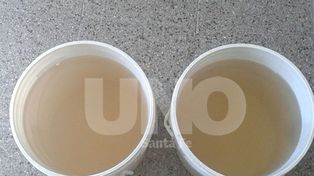 Vecinos de barrio La Florida están preocupados por la falta de agua