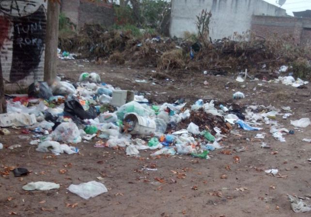 Vecinos piden que limpien un basural en Gaboto al 2000