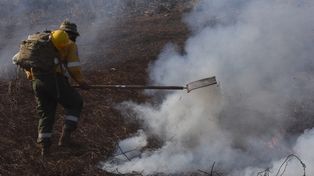 Lorenzetti: Es muy grave lo que ocurre con los incendios en las islas