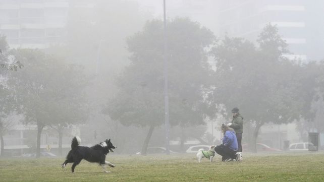 La niebla volvió a Rosario