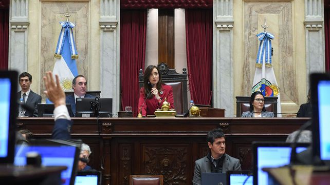 En el Congreso la oposición buscará avanzar en el financiamiento universitario y del Garrahan. Las sesiones se retomarán en la segunda semana de agosto