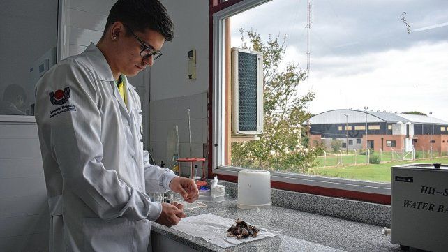 Pasante. Hadrien estudia Farmacia en la Universidade Estadual do Oeste do &nbsp;Paraná.&nbsp;