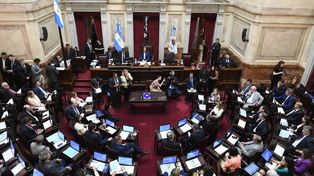 Además del decreto sobre la Side, el Senado tratará este jueves el proyecto de Boleta Única de Papel y el presupuesto universitario. Si se aprueba esta última iniciativa, el presidente Milei ya anticipó que la vetará.