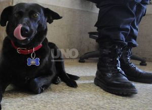 Falleció La Negrita de Casa de Gobierno