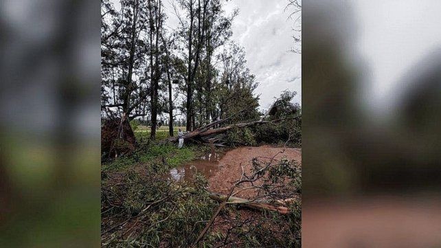Concepción del Uruguay: un fuerte temporal azotó la ciudad