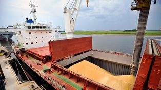 Exportaciones agropecuarias en alza: Argentina certificó más de 62 millones de toneladas entre enero y agosto