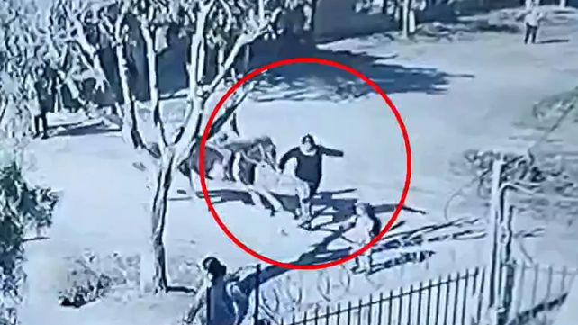 Una mujer está grave tras ser embestida por un caballo en el Gran Buenos Aires