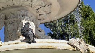 SMN pronostica días de temperaturas superiores a 36 grados