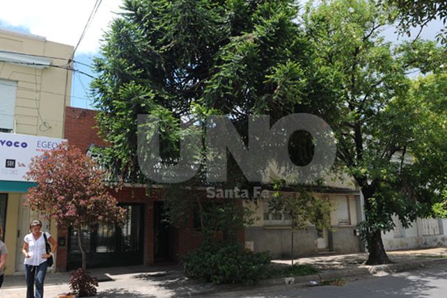Reclamo y riesgo en la vía pública por un árbol