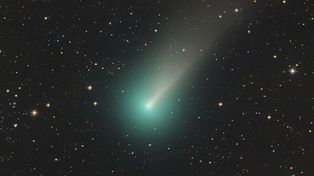 El cometa Leonard se acerca a la Tierra y podrá ser visto desde Argentina