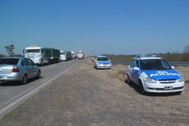 Choque en Recreo: un camionero atropelló un novillo suelto
