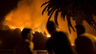 La isla La Palma, una reserva de la biosfera, en riesgo por el fuego