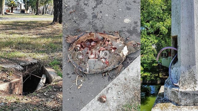 Preocupa el estado de abandono y vandalismo en el Parque Garay.&nbsp;