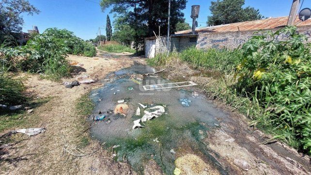 Santa Rosa de Lima: el olor insoportable de la carga de un tren descarrilado que afecta a los vecinos. Santa Rosa de Lima: el olor insoportable de la carga de un tren descarrilado que afecta a los vecinos.