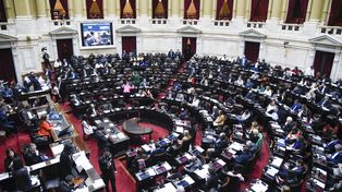La iniciativa permitirá a la AFIP obtener información, localizar y detectar bienes no declarados tanto en el país como en el exterior.