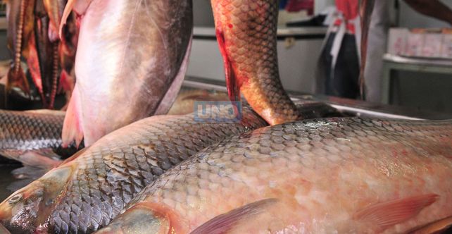 Si nos ponemos a buscar el glifosato dentro del sábalo lo vamos a encontrar
