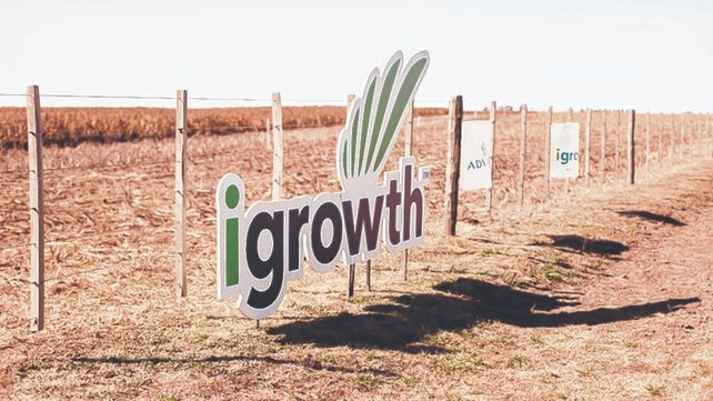 Desarrollo. Los sorgos de tecnología Igrowht de Advanta