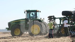 A buen ritmo se cosechan soja, maíz, sorgo y arroz en la provincia