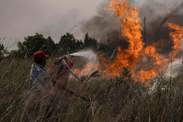 Son 785 mil las hectáreas arrasadas por el fuego en Corrientes en 40 días