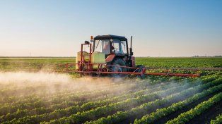En las localidades donde se usa agrotóxicos aumentan las posibilidades morir de cáncer