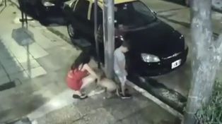 Video: una mujer abandonó a su perro atándolo a un poste de la luz en Nochebuena