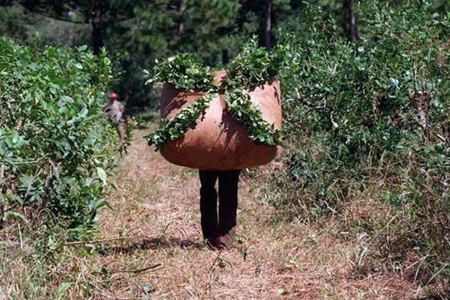 “Que el placer de tomar mate, no haga esclavos a los productores”