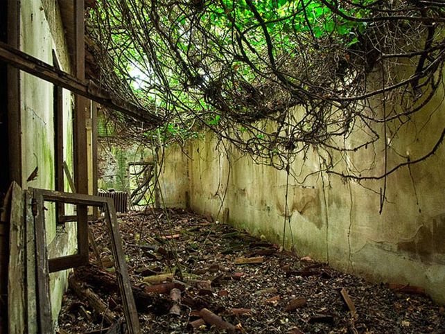 Una isla en Venecia está en venta y se cuentan historias terroríficas sobre ella