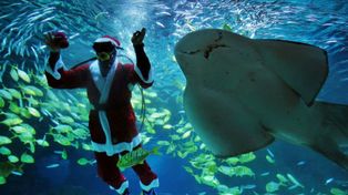 Papá Noel llevó la Navidad sin importar los obstáculos