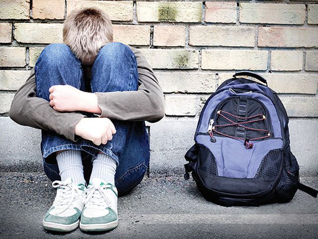 El papel de los padres frente los casos de bullying