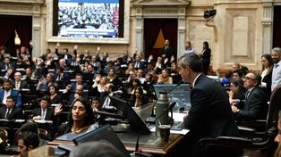 Los principales puntos de la Ley Bases que se votaron