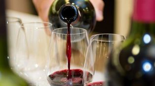 Malbec argentino: un campeón mundial que se mantiene vigente