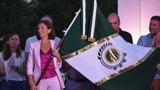 El símbolo fue creado en 2025 dentro del proyecto Colores del Sur, impulsado por Di Gregorio, con el objetivo de consolidar una identidad común que represente la historia, la cultura, la producción y el territorio del sur provincial.