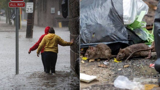 Nueva York está bajo emergencia por las copiosas lluvias