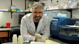 Estudio argentino: El plasma transforma al coronavirus en un mal catarro