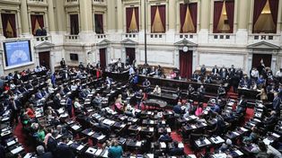 La Cámara de Diputados de la Nación.&nbsp;