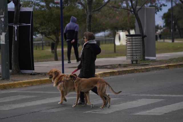 Llega una jornada con temperatura agradable en un día gris en Rosario.
