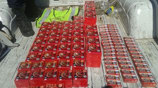 Secuestraron cerca de 4000 proyectiles que no contaban con habilitación del Renar