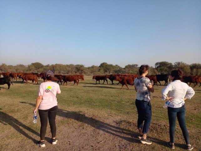 El Inta Tostado trabaja junto a productores ganaderos para implementar buenas prácticas de manejo del rodeo.