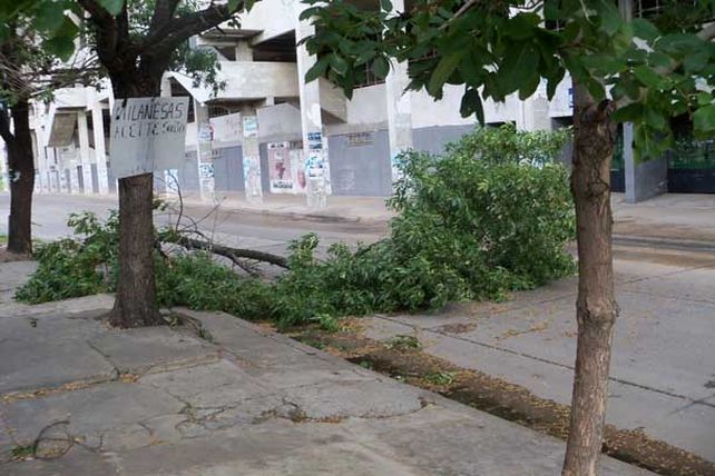La tormenta generó cortes de energía en varios barrios de la ciudad