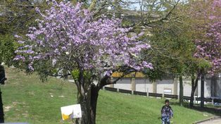 Buen tiempo en el arranque del fin de semana