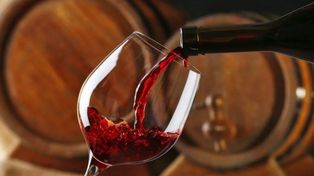 Récord para el vino argentino: pagaron medio millón de dólares por un lote de 84 botellas de Malbec