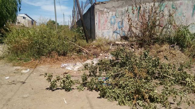 Vecinos de barrio Transporte exigen la limpieza de los alrededores del Club Pucará