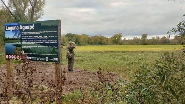Colón fue sede de observación de aves en el Global Big Day