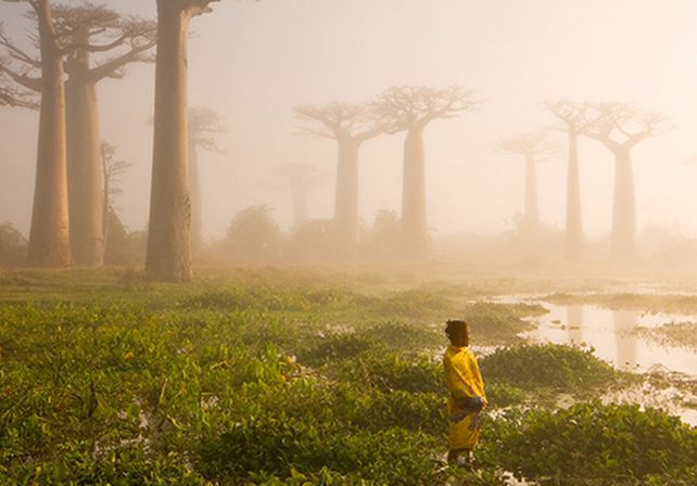 Las mejores fotos de National Geographic de 2015